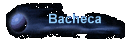 BACHECA