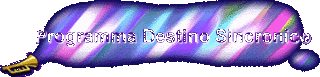 Programma Destino Sincronico