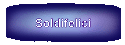 Soldifelici