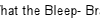 What the Bleep- Brani