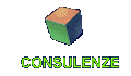 CONSULENZE 2005