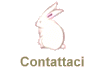 Contattaci