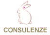 CONSULENZE