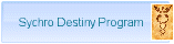 Sychro Destiny Program